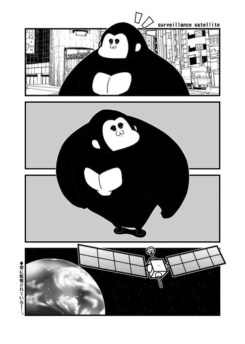 シティゴリラ 