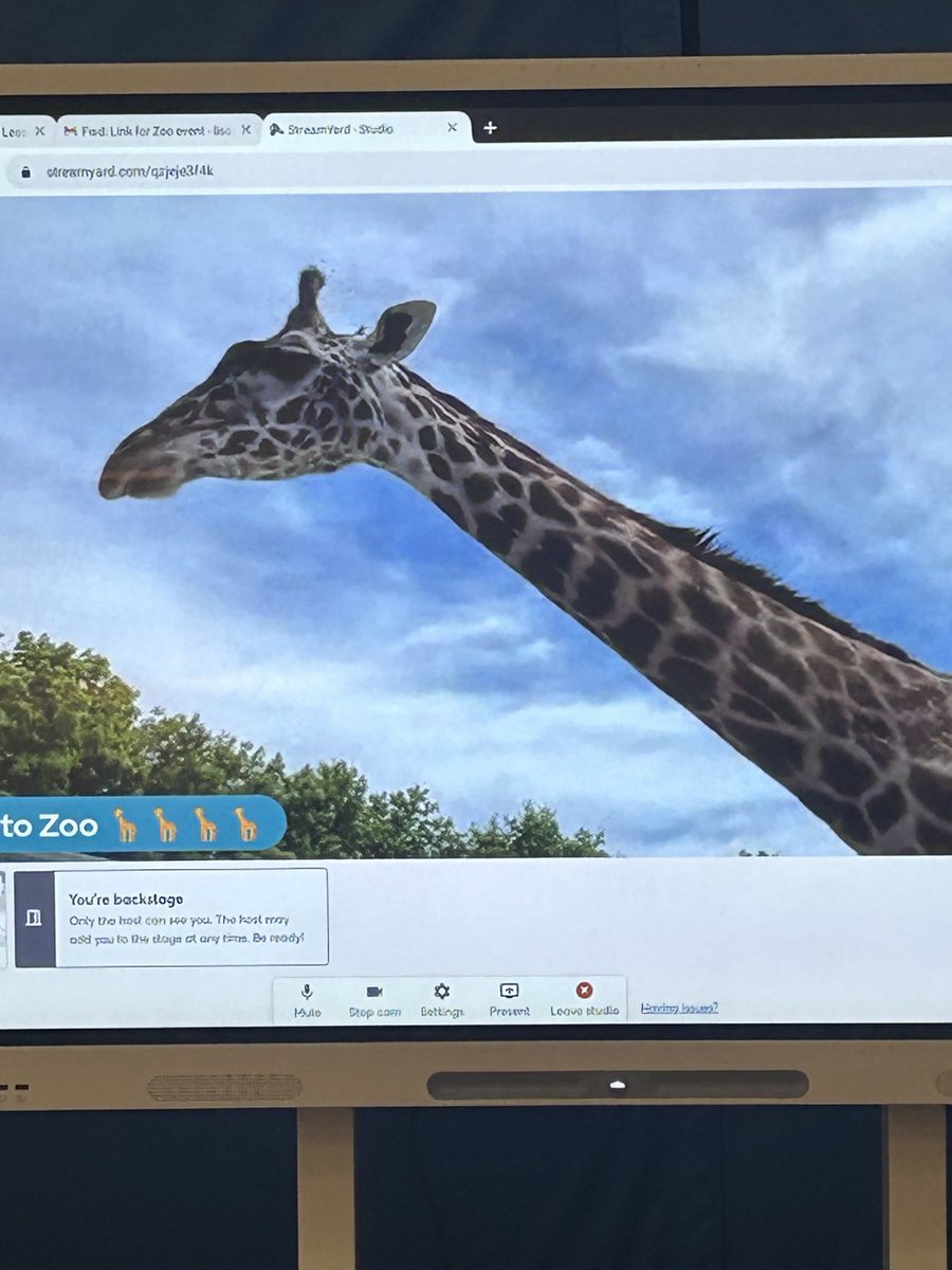 Such a great VFT today with ⁦<a href="/EBTSOYP/">ExploringByTheSeat - Find us on BlueSky</a>⁩ visiting the ⁦<a href="/TorontoZooBot/">Toronto Zoo</a>⁩ #SSSct learning about giraffes. Thank you so much. What a great way to end the school year.⁦<a href="/DavidJHuber/">David Huber, Ed. D.</a>⁩ ⁦<a href="/jaw1971/">Jen</a>⁩ ⁦<a href="/BristolCTSchool/">Bristol Public Schools</a>⁩