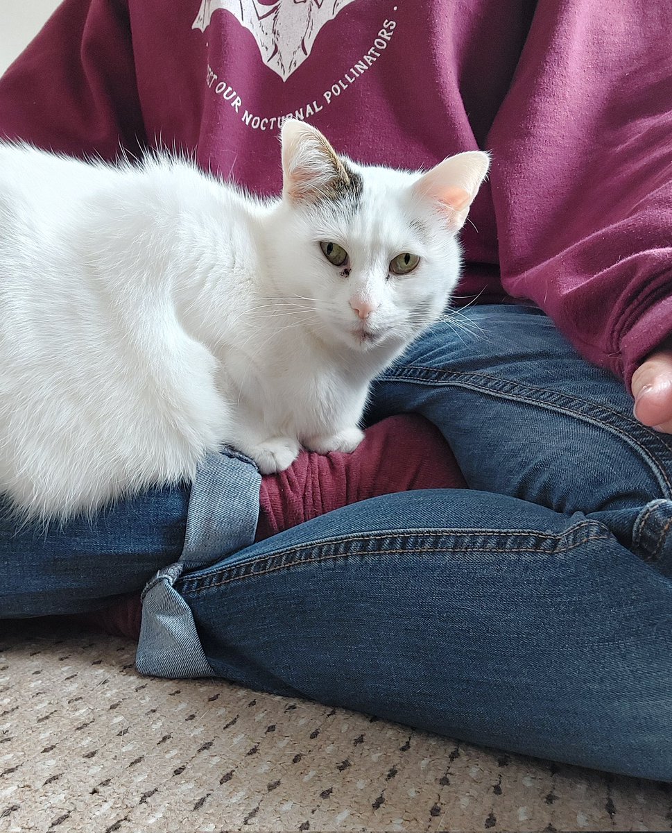 Kate Garrett tweet media