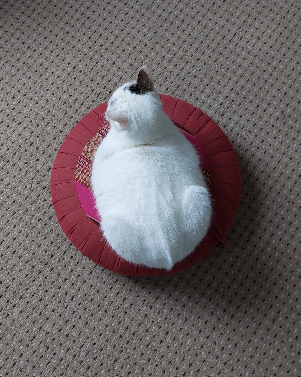 Kate Garrett tweet media