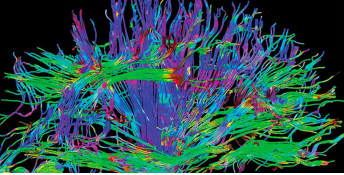 Thomas Nickl-Jockschat tweet media