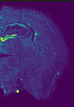 Thomas Nickl-Jockschat tweet media