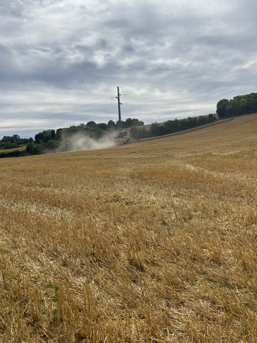 Top départ des moissons 2024 
#charente #LGzebra avant 🌧️