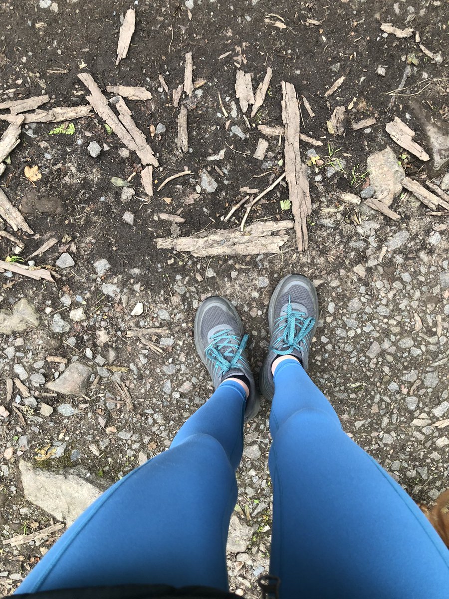 MorvenMay's tweet photo. I was talking at an event recently and telling people about wearing light coloured clothing in order to spot ticks so here’s my blue legging!! 😃 #lymedisease #lyme #chronic  #lymediseasehealing #healthylifestyle #healthyliving #doglifestyle #doglovers #cavapoos #cavapoodle #dog https://t.co/aXpv5eDTzK
