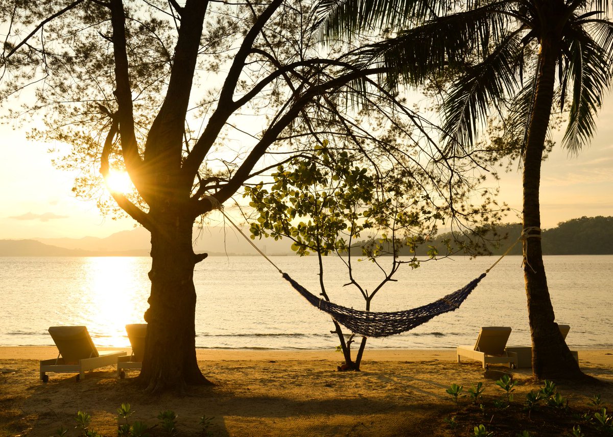 AcombTravel's tweet photo. Luxury hotels, Jungle lodges &amp; Local Longhouse - Orangutans and islands of Borneo

Did you see Levison Wood's 'Walking With Orangutans' on C4 last Sunday? Orangutans are one of the most human-like of all wild animals and.....

 - View Further Details :: https://t.co/7OSYjyZ1pB https://t.co/O7G8U6vcbr