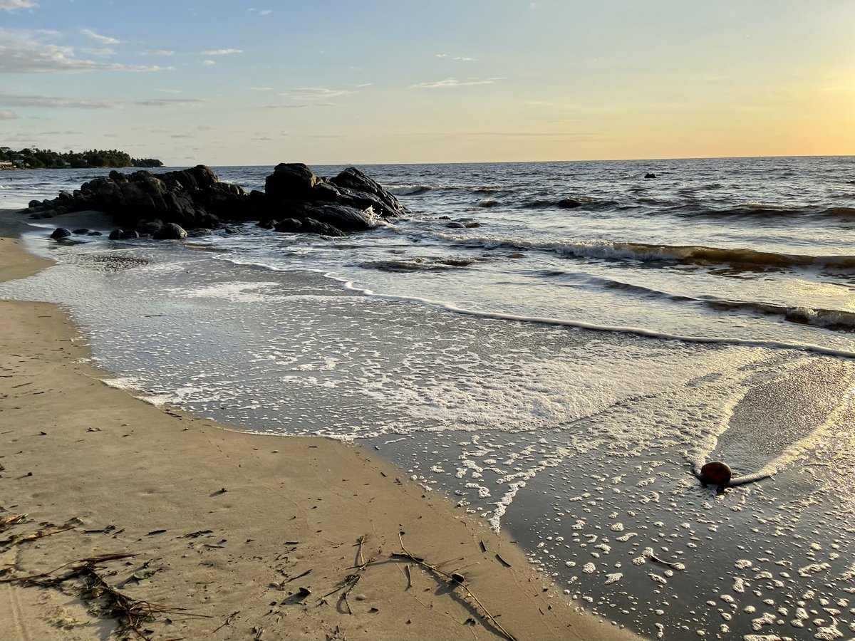 face2faceberlin's tweet photo. Every new day by the ocean is a fresh chapter of life unveiled under the rising sun. Embrace the horizon, breathe deeply, and dive into life's adventure. Happy Thursday and have a great week everyone! 🌅🌊 #ThursdayMotivation #NaturalBeauty https://t.co/H8cBGGBcy7