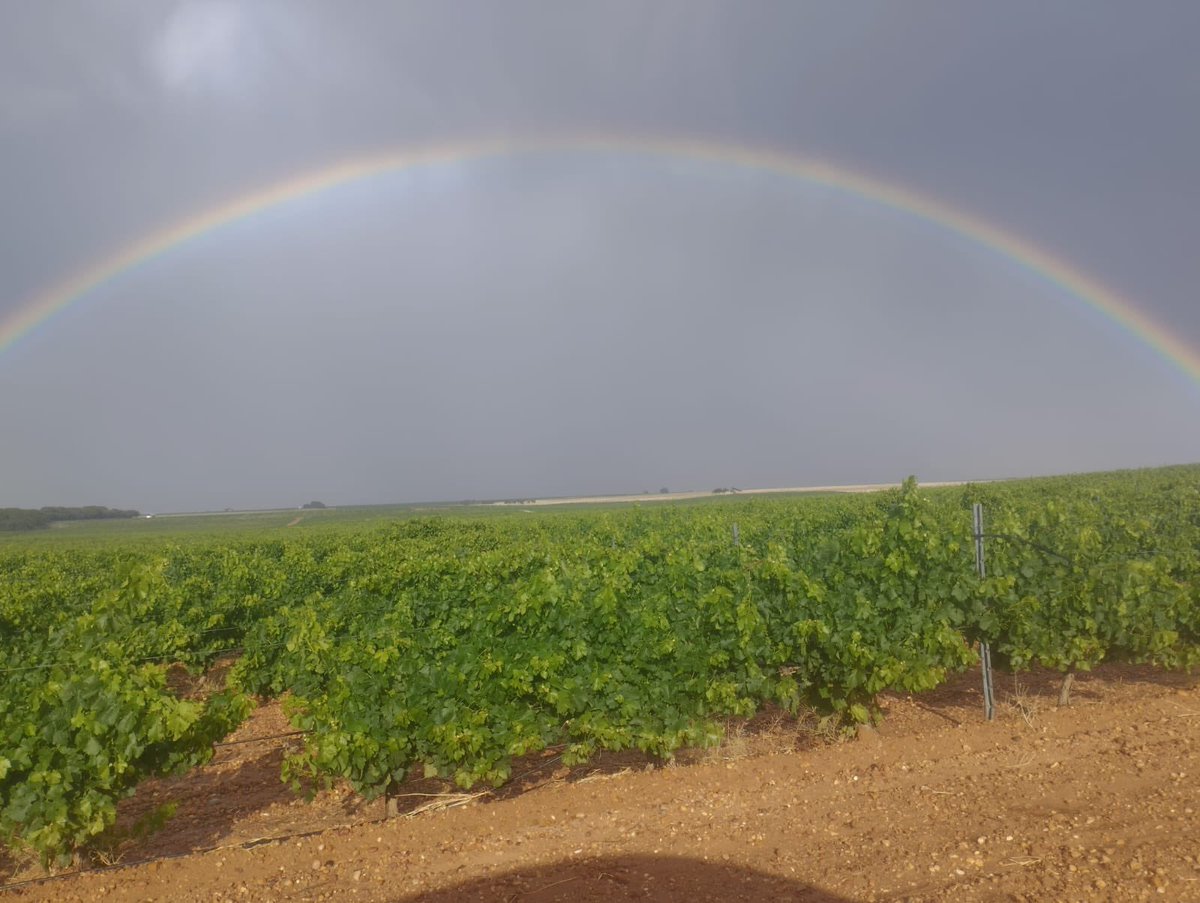 rosavaleropolo2's tweet photo. @ElTiempoA3 
Tarazona de la Mancha , Albacete https://t.co/y5AMVIOa9o