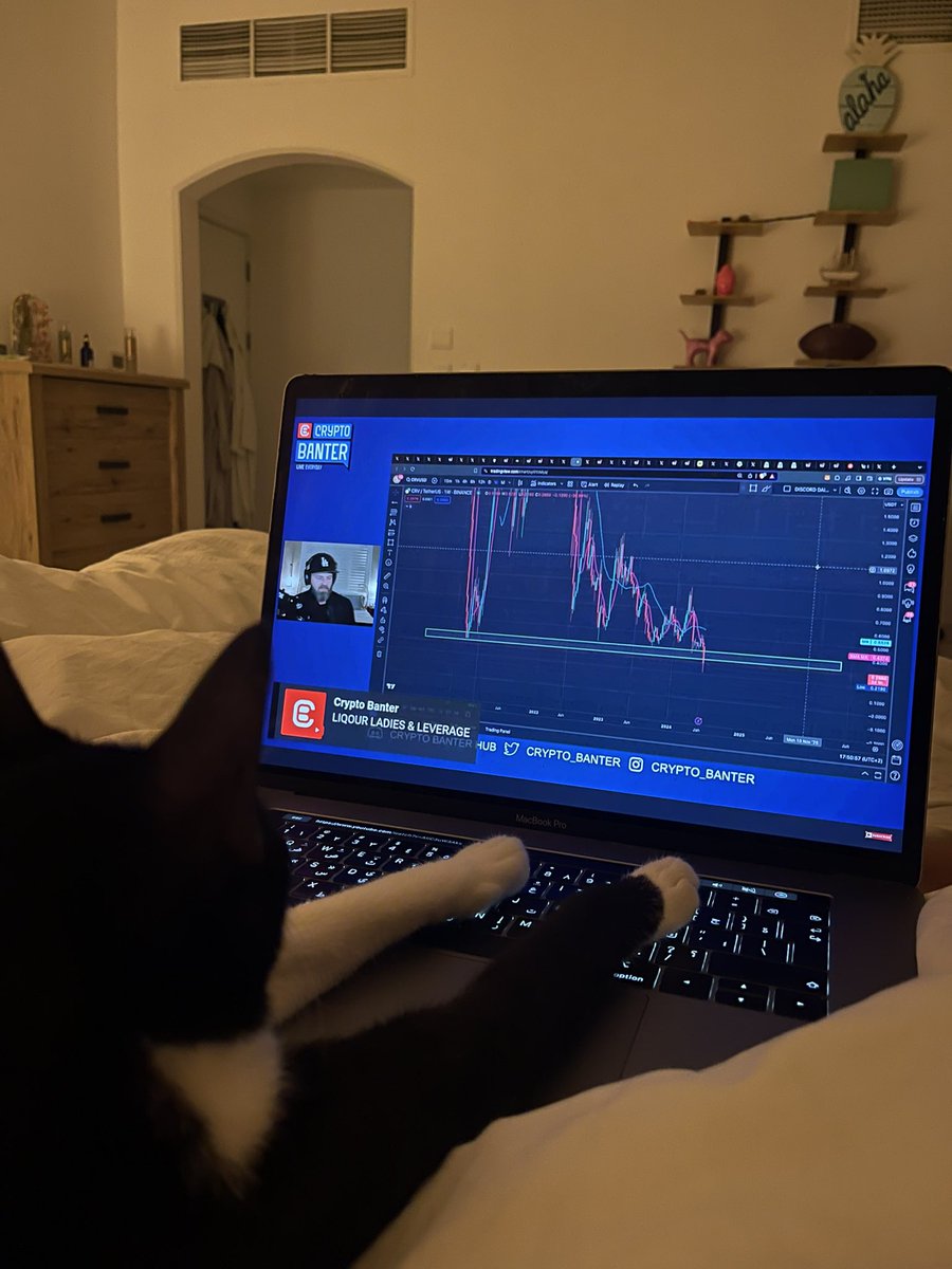 Even got my cat watching <a href="/cryptomanran/">Ran Neuner</a> <a href="/crypto_banter/">Crypto Banter</a> <a href="/RealLordofentry/">The Only Lord Of Entry</a>