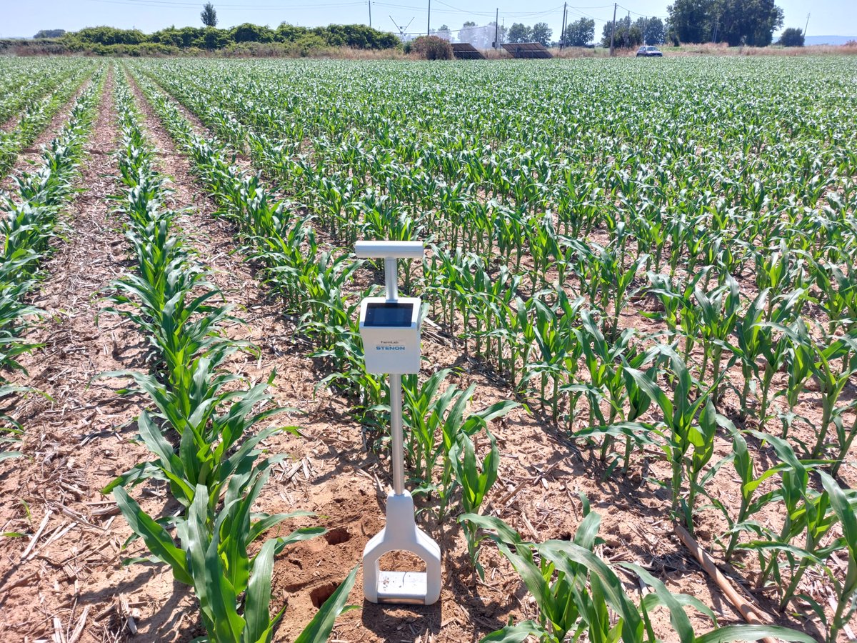 syngentaPT's tweet photo. 🌽Mapeamento de solo na Quinta da Cholda com a ferramenta digital #Stenon.
Esta análise permite saber quantidade de N no solo e a sua disponibilidade para a planta, facilitando a gestão azotada na parcela.
Este é nosso ensaio de milho mais completo na Europa!
#CropEx https://t.co/smZJgyaT3V