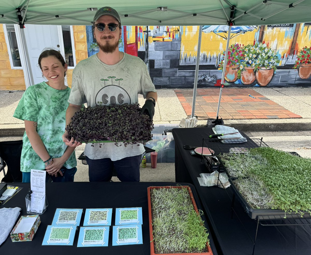 DowntownBerkley's tweet image. At today’s #DowntownBerkley Farmers Market (and every week) is Green Rebellion microgreens. They’ve got cilantro, radish, broccoli, kale, and arugula greens — sets are $4 each or $3 for 10! #shoplocal #growlocal
