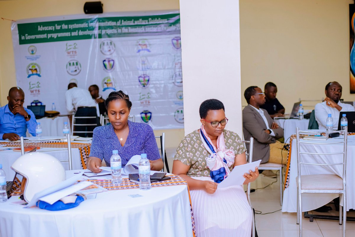 Dr_Laurien_'s tweet photo. Honored to have attended #AnimalWelfare workshop and share a presentation on behalf of @RwandaVets1 entitled ''Advancing animal welfare for veterinary practitioners''. The workshop gathered key actors in livestock sector and was organized by @RwandaAgri and #RAWO.@NdorimanaC https://t.co/kOTfc4GsPc