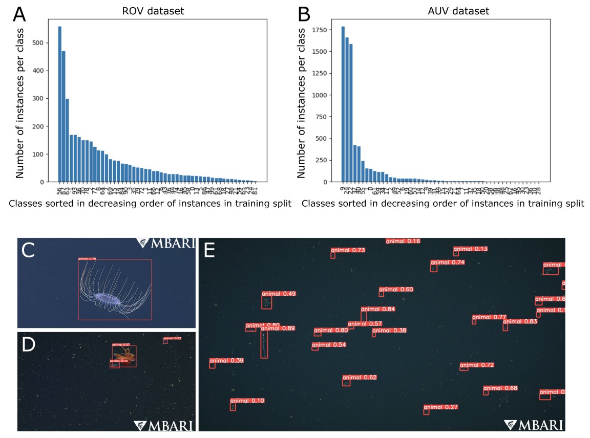 Excited to share my work comparing strategies to use unlabeled data for detecting marine animals in deep-sea images at #CVPR2024. Grateful to have had the opportunity to intern at
<a href="/MBARI_News/">MBARI</a>
last summer and to my mentors
<a href="/DanelleCline/">DCline (she/her)</a>
and Duane Edgington. tinyurl.com/5dmm483w