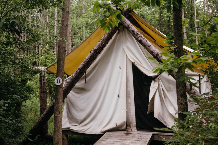 "I took a walk in the woods and came out taller than the trees." - Henry David Thoreau