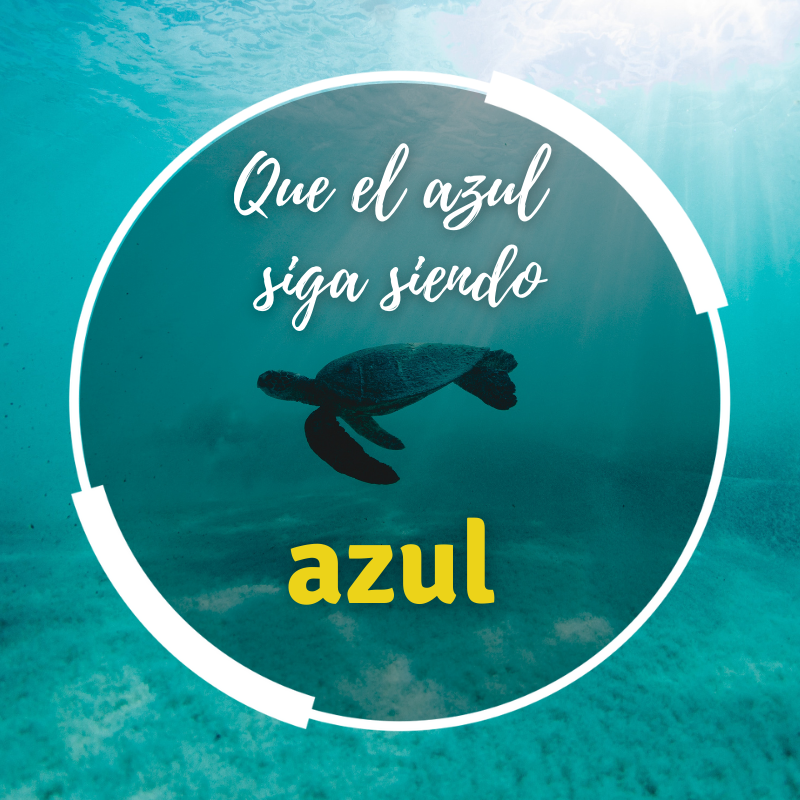HacesMas's tweet photo. Los océanos NO son un basurero, son nuestra fuente de vida 🌊
Por eso en #SIGAUS trabajamos con un objetivo: garantizar que el azul siga siendo azul 🔵
👉 https://t.co/VF4qj1432I https://t.co/xS1PhMefZb