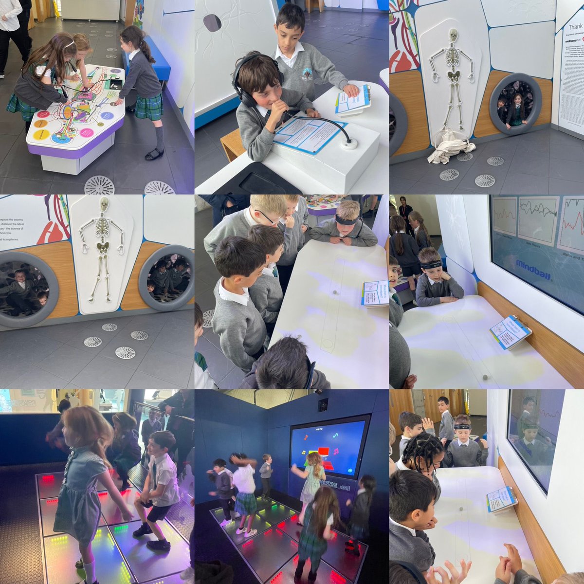 Park View Primary tweet media