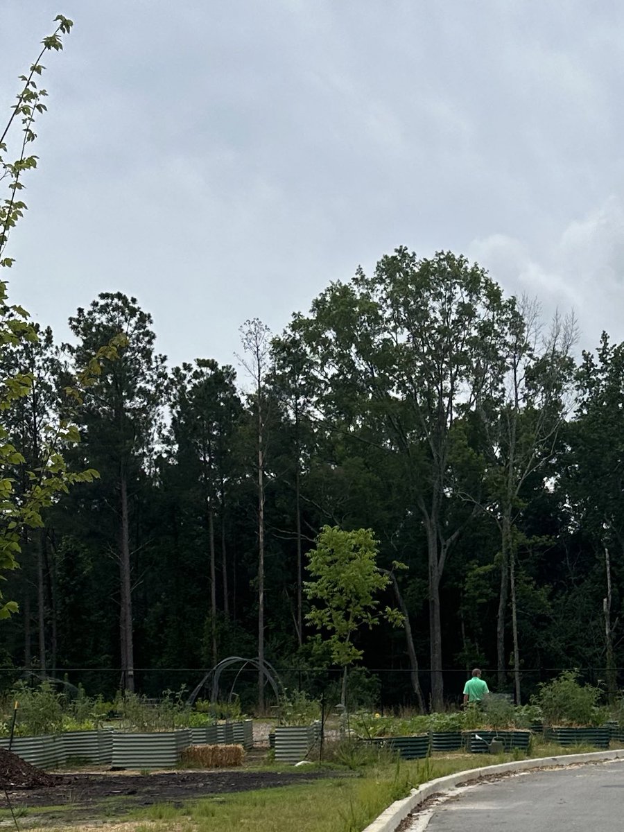 Thankful for the support and opportunities from <a href="/Casey_Calhoun/">Casey Calhoun(Julep)</a> . We hope there will be many more days when we’ll look outside and see him squash-shopping the garden at <a href="/LakesideMS_Lex1/">Lakeside Middle</a> . Thanks for believing in us, boss. You’re the best.