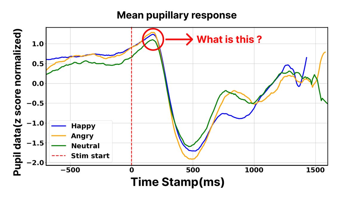 In many of my pupillometry experiments, there's a noticeable increase in pupil diameter just before the Pupillary Light Reflex (PLR). Is this pre-PLR peak likely due to an anticipatory response to the upcoming stimulus?  
#Neuroscience #Pupillometry #CognitiveScience #Research