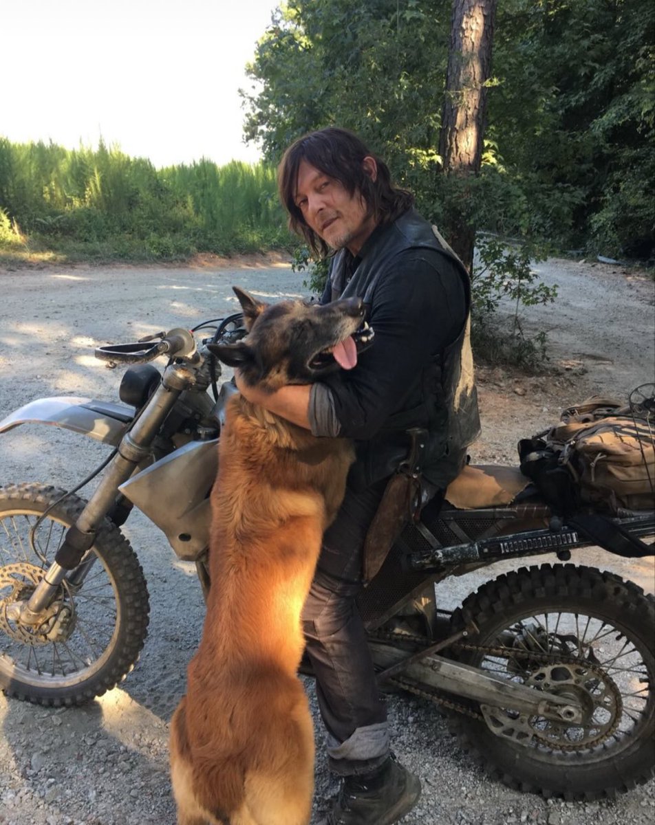 🚨 NEWS: According to Norman Reedus’ Story on Instagram- Sadly, Dog from #TheWalkingDead has sadly passed away 😭🐕❤️
