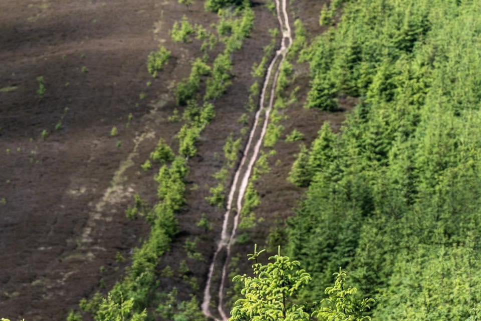 Ultra Scotland tweet media