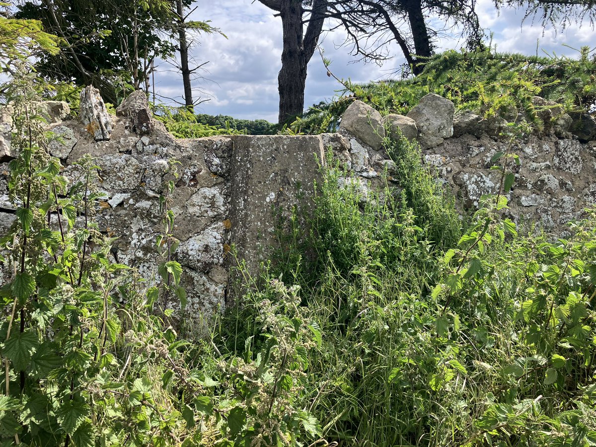 iancampbell251's tweet image. Todays #trigpoints