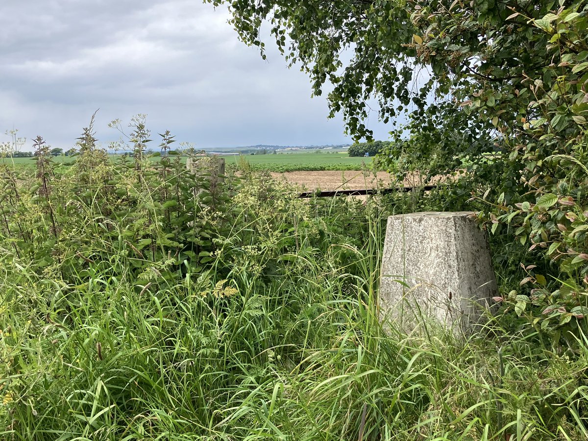 iancampbell251's tweet image. Todays #trigpoints