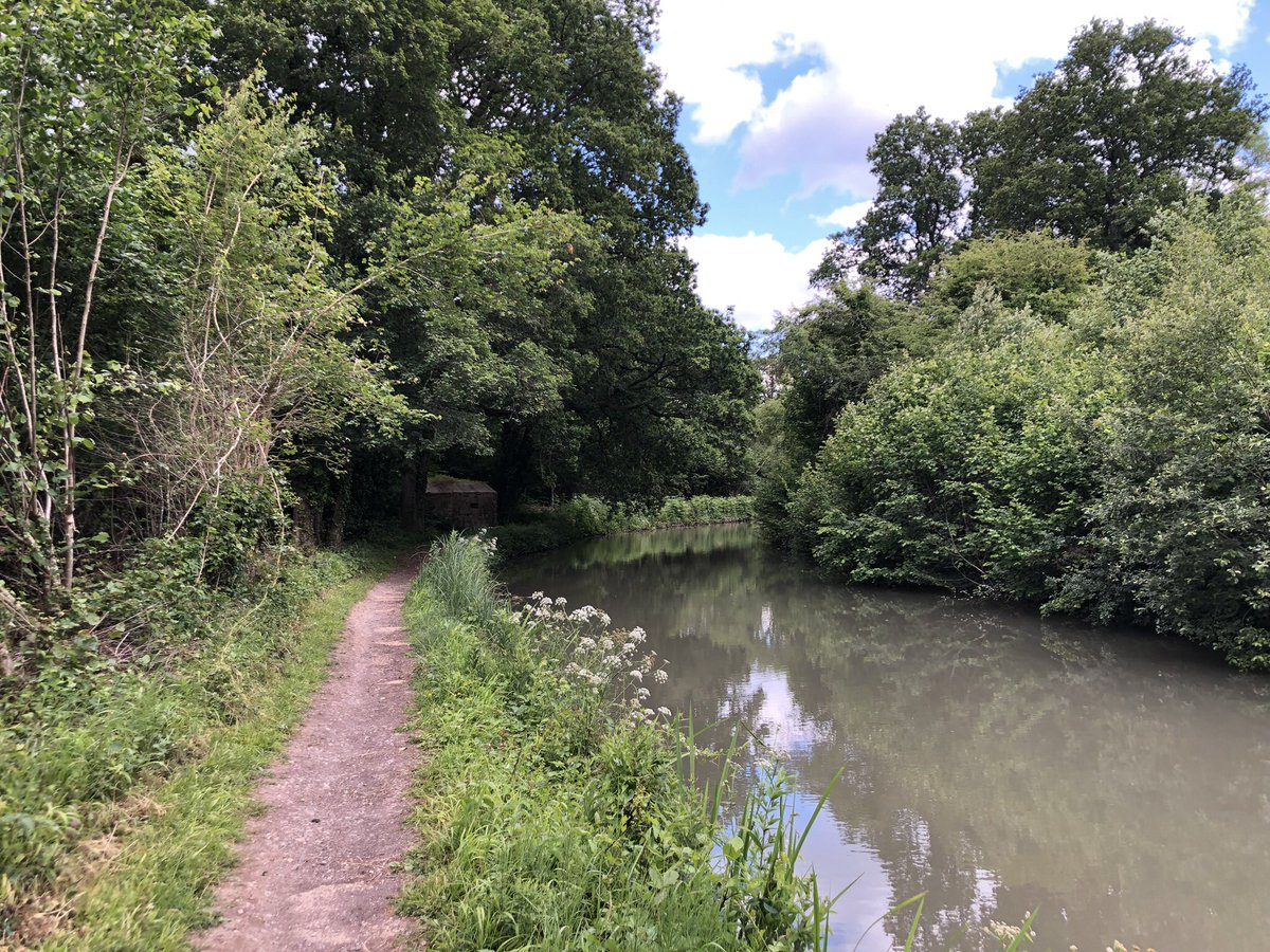 Day 13 of #30DaysWild Ran along the canal (Pictured)Lousy weather.. but a kingfisher flashed by (not pictured)☺️
