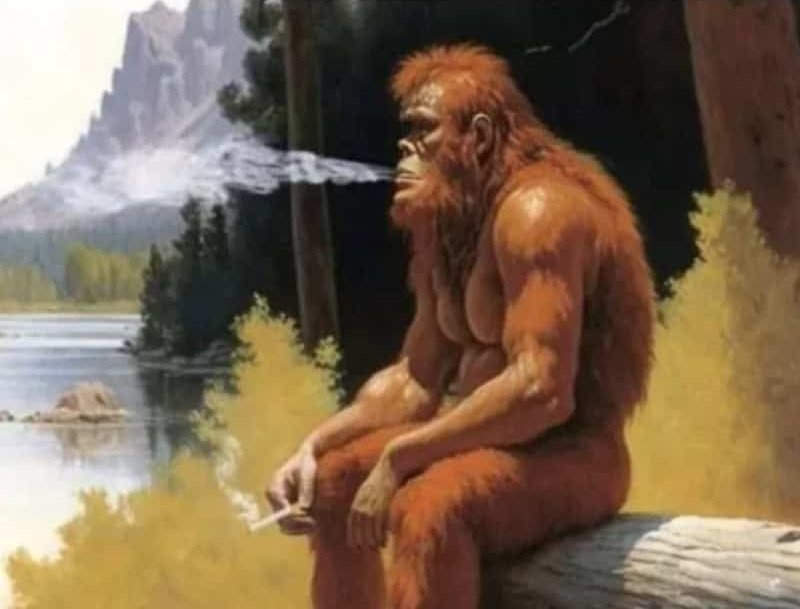 BogeyObi's tweet photo. Bigfoot every time he sees his silhouette on disc golf merch https://t.co/ZzFBtj246v