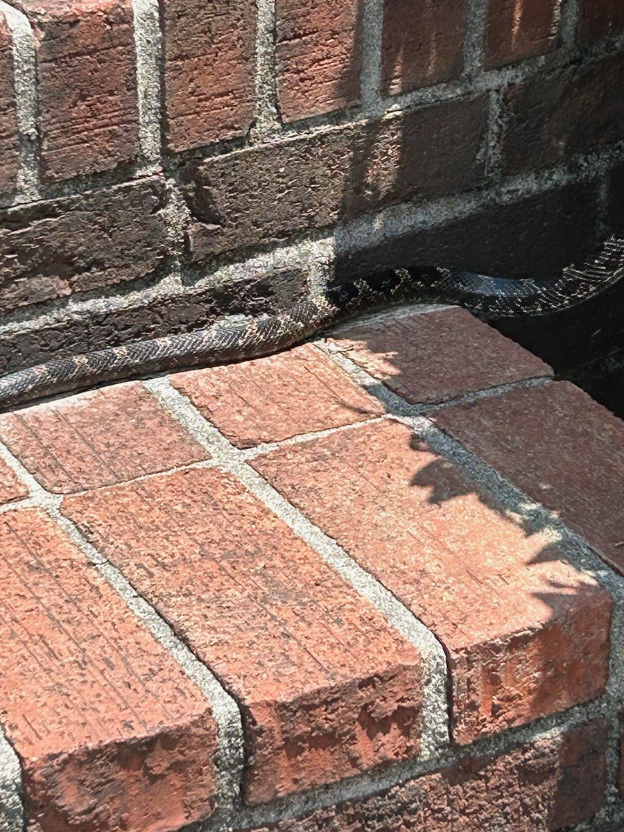 BillyBob tweet media