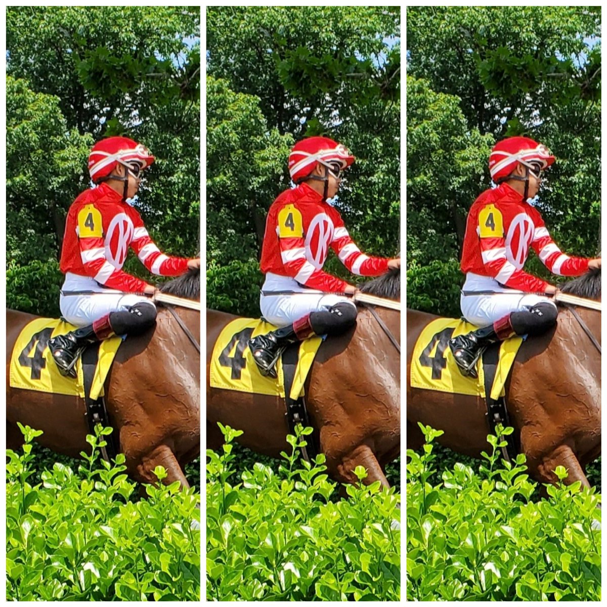 Saddles and Sulkies (@sadandsulk) on Twitter photo Jockey Ederick Robles swept the first three races <a href="/DelParkRacing/">Delaware Park</a> today. <a href="/FanDuel_Racing/">FanDuel Racing</a> <a href="/StantonSalter/">Stanton Salter</a> <a href="/MasonnumberMark/">Mark mace</a> Jockey Ederick Robles swept the first three races <a href="/DelParkRacing/">Delaware Park</a> today. <a href="/FanDuel_Racing/">FanDuel Racing</a> <a href="/StantonSalter/">Stanton Salter</a> <a href="/MasonnumberMark/">Mark mace</a>