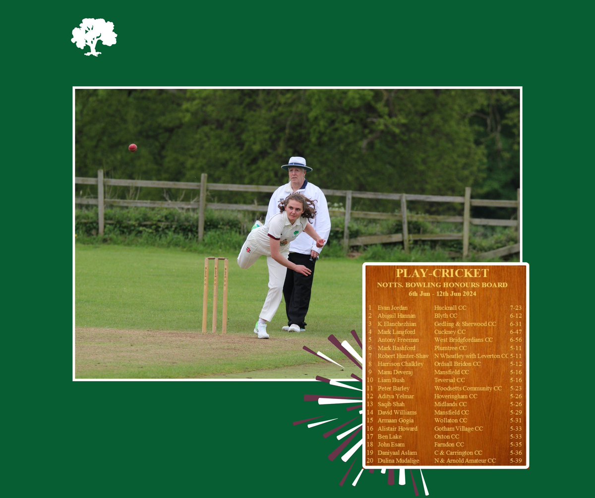 Blyth Cricket Club tweet media