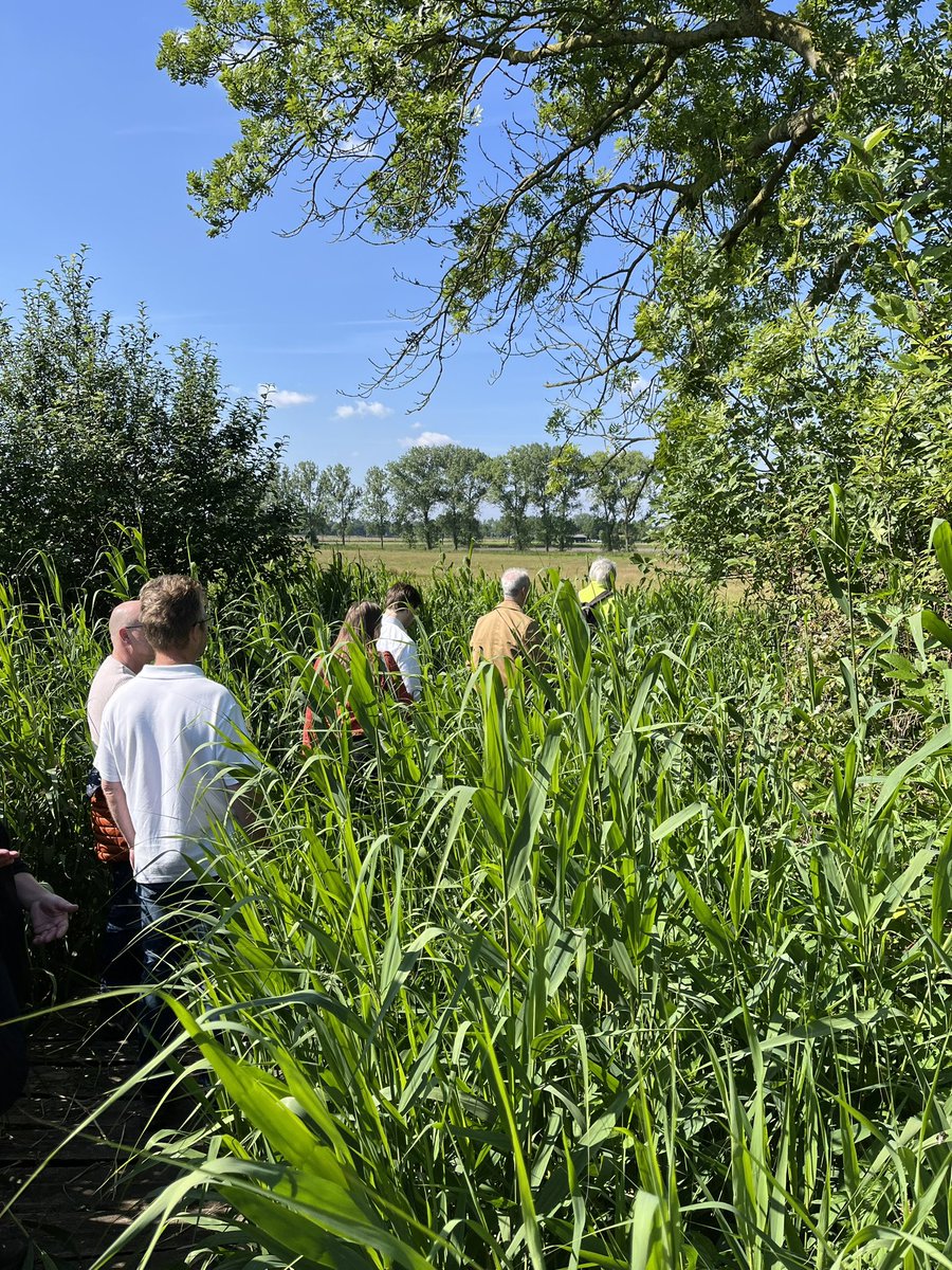 Ambtenaren van gemeenten, waterschappen en provincie, die samenwerken in <a href="/RNOB_regio/">RNOB</a>, lieten zich vanochtend inspireren door waardevolle ontmoetingen, gehouden op de prachtige Peelrandbreuk en Bedaf in Uden! Meer dank aan gidsen van <a href="/IVNUden/">IVN Uden</a> 🌸💼🌿 #samenwerking #inspiratie