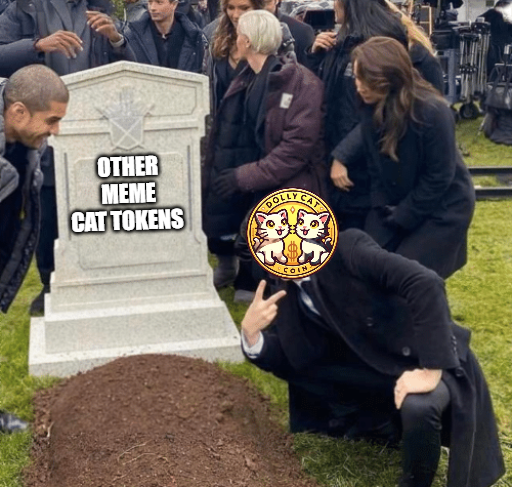 DollyCatToken's tweet photo. 💥 RIP to the other meme cat tokens! DollyCat Token (DOCAT) is here to dominate the crypto scene with real impact. 🚀 We've just burned 100 million $DOCAT, making our community stronger and our mission clearer. Join the movement that's more than just a meme—it's a revolution for stray cats everywhere! 🐾🔥 #DollyCatToken #CryptoCommunity #TokenBurn #JoinTheRevolution
