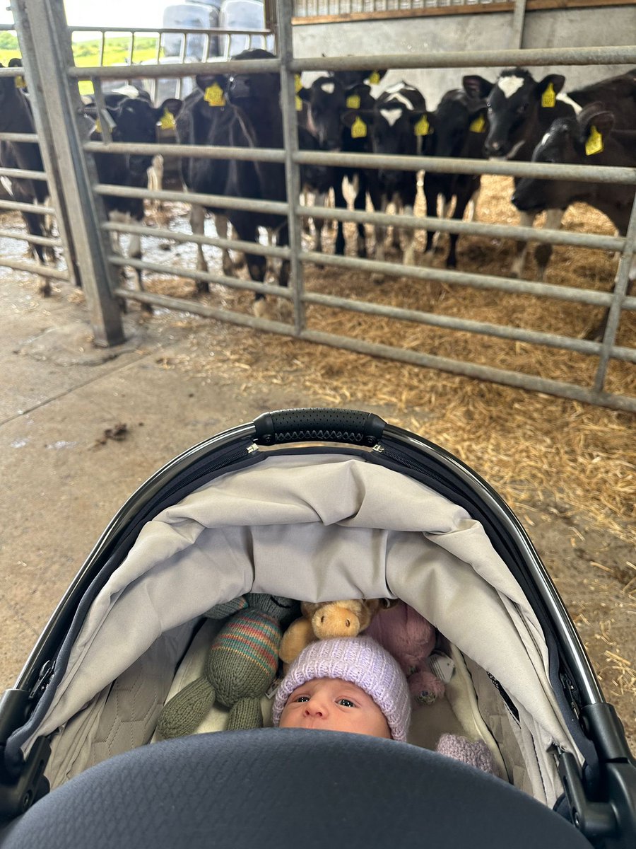 Colin Ferguson tweet media