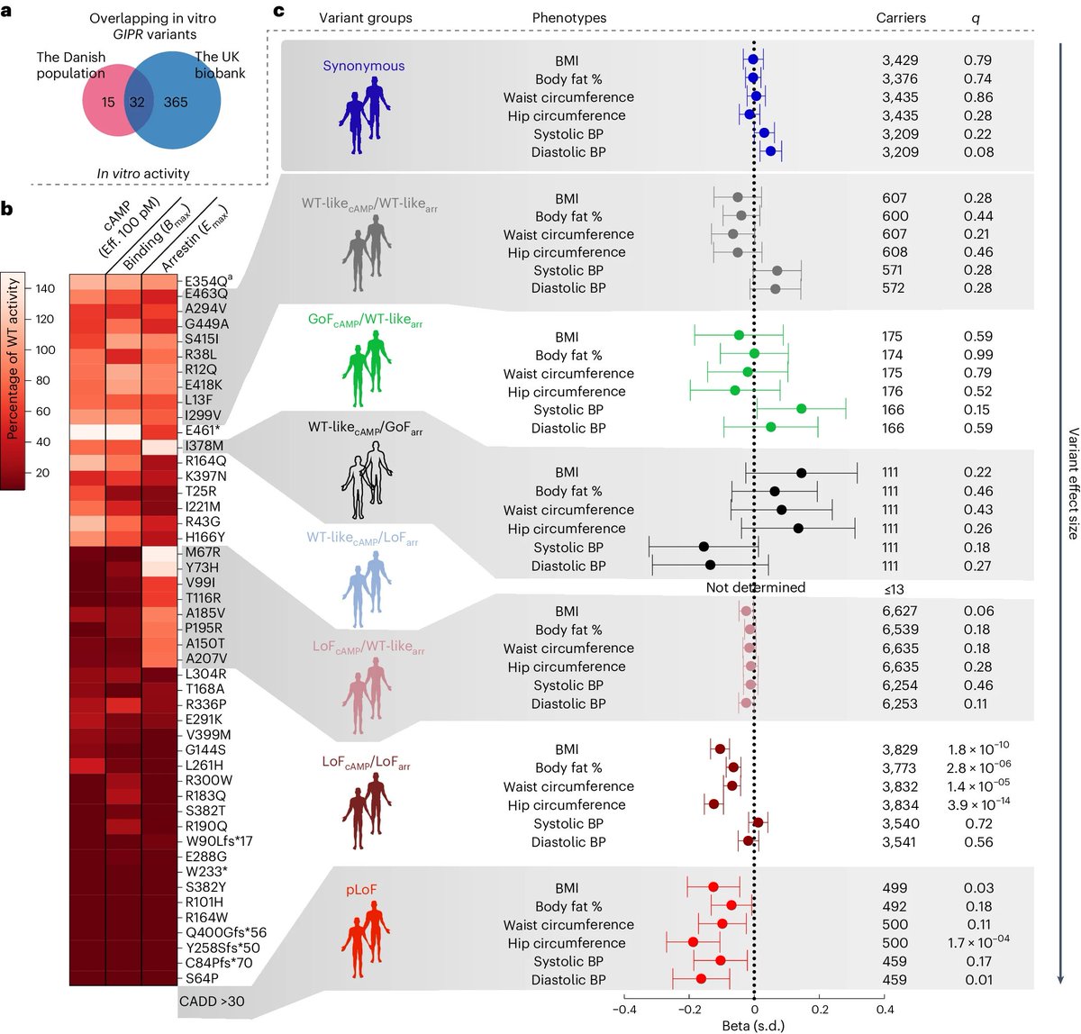 Filip K. Knop tweet media