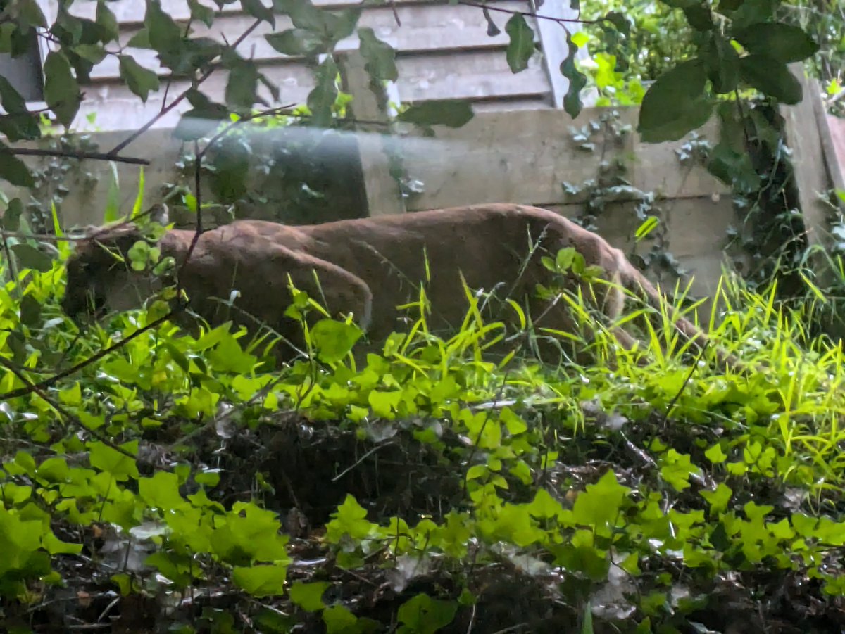 Alexander Rose tweet media