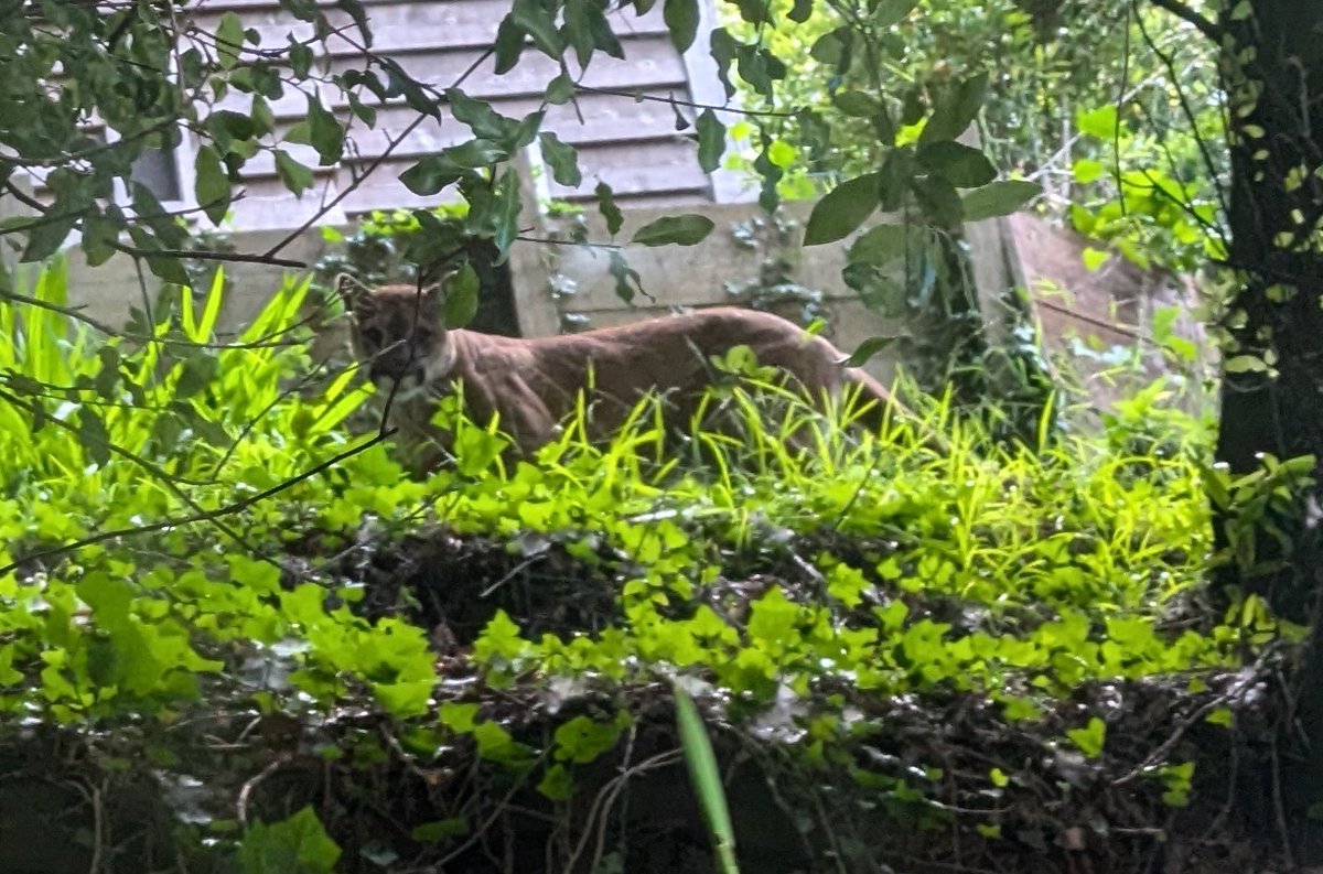 Alexander Rose tweet media