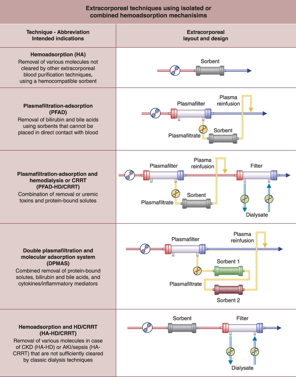 Blood purification by dialysis is a nephrology cornerstone. This Perspective provides an update on current knowledge on hemoadsorption and describes its current use and research agenda for the future bit.ly/CJASN0433

<a href="/ForniLuiG/">Lui Forni</a>