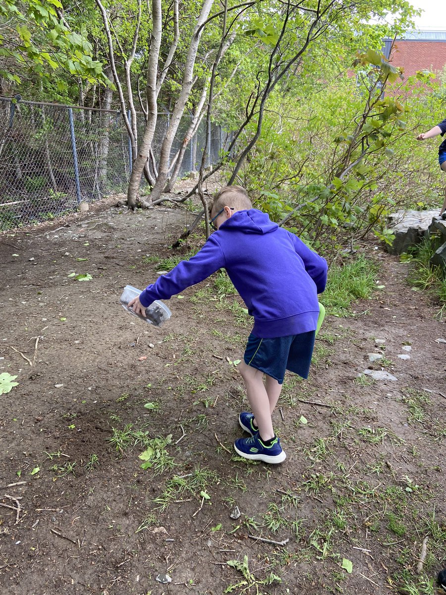 Ms. Renée Nolan tweet media