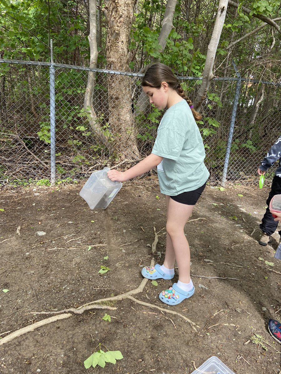 Ms. Renée Nolan tweet media