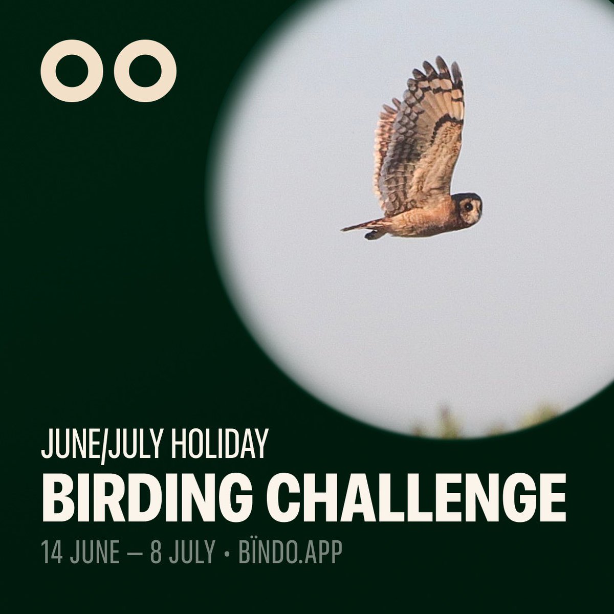 Get birding in the upcoming holidays and win prizes! Find out more bindo.app/events/june-ju…