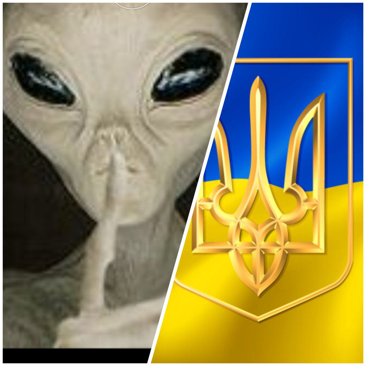 UFO13001's tweet photo. #ufo #ufotwitter #uap #uaptwitter #UFOSightings #ufology #news
 #uapx  #ufotwitters #uaptwitters
#ufos #UAPs #ufoX https://t.co/ikeQHPtPJf