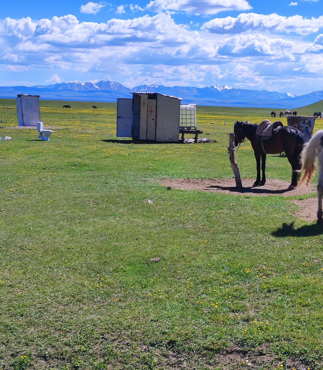 Horse and toilet.

Anonymous arranger. Pixel on canvas. Kyrgyzstan, 2024