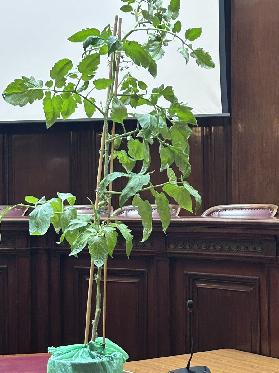 STEM Glasgow (@stemglasgow) on Twitter photo Well done to all who took part in the STEM <a href="/MockCourt/">The Mock Court Project</a> pilot project. You were all fantastic. <a href="/ClevedenSec42/">Cleveden Secondary School</a> just missing out to <a href="/Shawlands_Sci/">Shawlands Academy Science Faculty</a> 👏👏 Congratulations to all involved the Judge 🧑⚖️ was very impressed with everyone’s performance #skillsforworkandlife <a href="/Jane_Arthur_/">Jane Arthur</a> Well done to all who took part in the STEM <a href="/MockCourt/">The Mock Court Project</a> pilot project. You were all fantastic. <a href="/ClevedenSec42/">Cleveden Secondary School</a> just missing out to <a href="/Shawlands_Sci/">Shawlands Academy Science Faculty</a> 👏👏 Congratulations to all involved the Judge 🧑⚖️ was very impressed with everyone’s performance #skillsforworkandlife <a href="/Jane_Arthur_/">Jane Arthur</a>