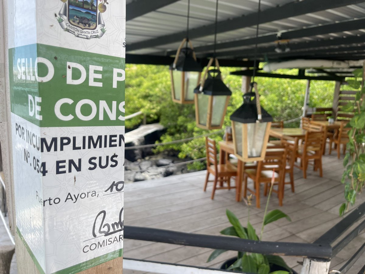 #Galapagos #PuertoAyora 
El <a href="/parquegalapagos/">Parque Galápagos</a> presentó una denuncia por presunta tala de #Manglar en el hotel que funciona donde antes era el tradicional Red Mangrove.

La presunta tala se produjo para ampliar las instalaciones del hotel llamado ahora Blu. Hernán Rodas propietario