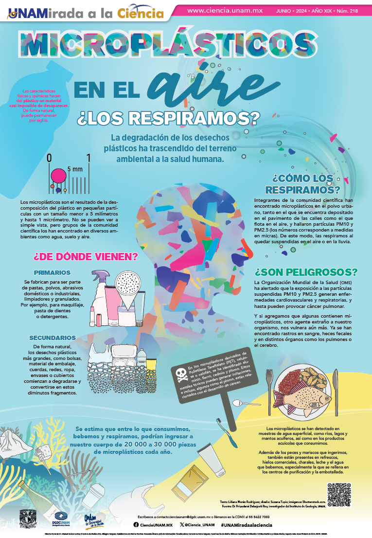 Se han detectado #microplásticos en agua, suelos y aire.
Se calcula que, entre lo que consumimos, bebemos y respiramos, podrían ingresar de 20 a 30 mil de estas piezas a nuestro cuerpo cada año 🤯 Te contamos más en el Portal de #CienciaUNAM
👉 bit.ly/49YKDin