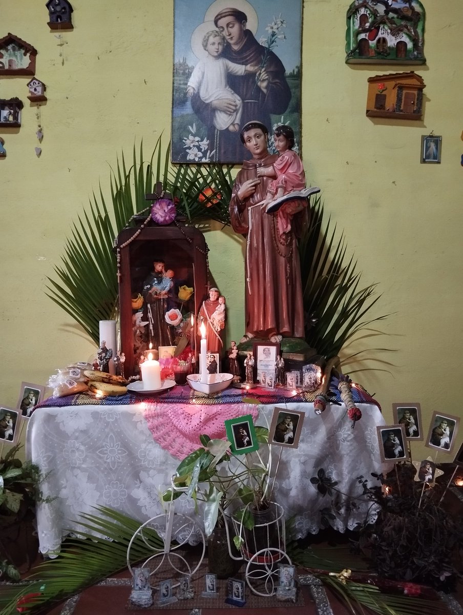 MUSICAOCULTA's tweet photo. Cada 13 de junio desde la Iglesia Católica celebramos la fiesta de uno de los santos más queridos y venerados en el mundo: San Antonio de Padua (1195-1231).
Fecha para la devoción del Tamunangue, rumbo a ser declarado Patrimonio Inmaterial de la Humanidad por la Unesco.
Salud!!! https://t.co/VhwnczX26g