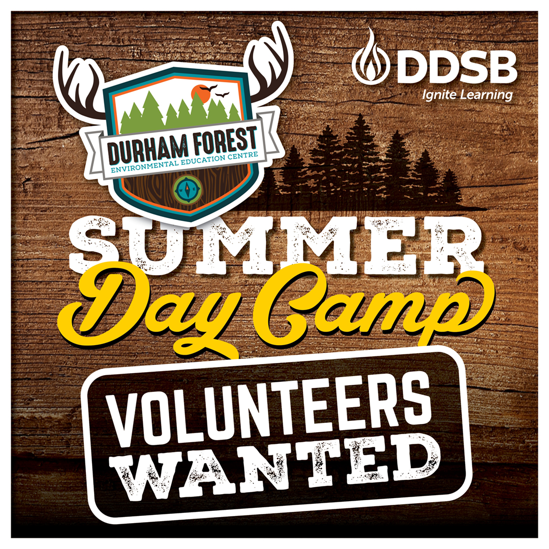 Durham District School Board (DDSB) (@ddsbschools) on Twitter photo .<a href="/DurhamForestEEC/">Durham Forest E.E.C.</a> is hiring volunteers for summer.
If you're a DDSB student seeking community service hours this is for you.
Positions for students in or going to high school.
Limited space available
Apply at forms.gle/WXEyDFE4DgbaFT…
For inquiries, email rachel.willis@ddsb.ca .<a href="/DurhamForestEEC/">Durham Forest E.E.C.</a> is hiring volunteers for summer.
If you're a DDSB student seeking community service hours this is for you.
Positions for students in or going to high school.
Limited space available
Apply at forms.gle/WXEyDFE4DgbaFT…
For inquiries, email rachel.willis@ddsb.ca