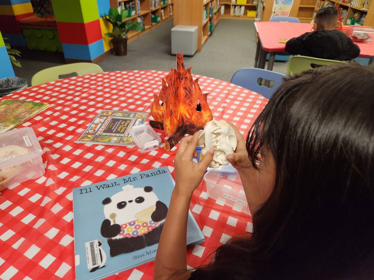 I'm loving these trunks from <a href="/SanAntonioZoo/">San Antonio Zoo 🦍</a>. My students loved exploring Texas wildlife. <a href="/RoxanneJGtz/">Roxanne Gutierrez</a> @VP_LGuzmanNISD <a href="/NISDVillarreal_/">Villarreal ES</a> <a href="/NISDLib/">NISDLibraryServices</a>