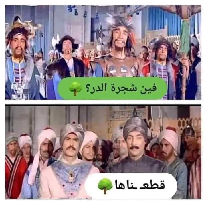 #قطع_الأشجار
#السيسى_خربها