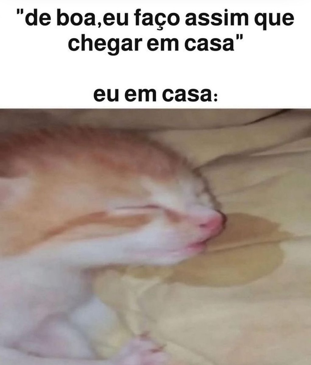 Shitpost só que de verdade (@shitpostverdade) on Twitter photo 